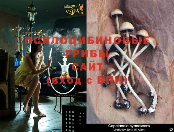 альфа пвп VHQ Горно-Алтайск